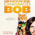 Um Gato de Rua Chamado Bob - James Bowen