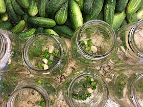 Canning Dill pickles