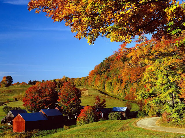 Autumn In Vermont5