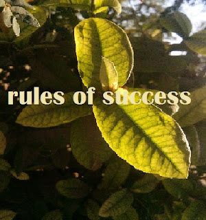 two rules of success in life, rules of success quotes, rules of success book, rules of success in hindi, golden rules for success in life, rules for success in school, rules for success in business, personal rules for success