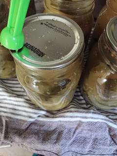 placing the lids on a jar