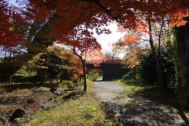 鳥取県西伯郡南部町鶴田 とっとり花回廊 ふるさとの古径