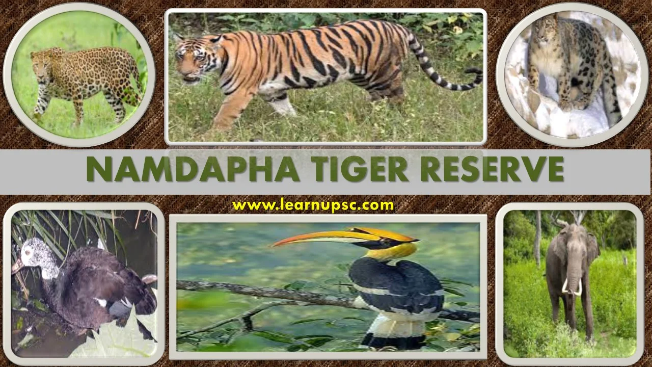 Namdapha Tiger Reserve