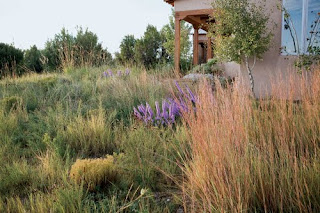 American Garden Design 2010