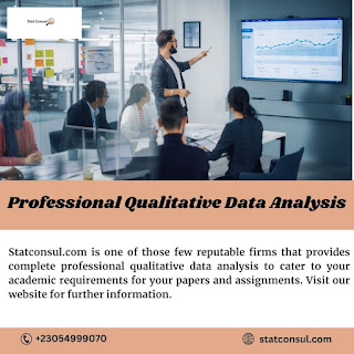 Professional Qualitative Data Analysis