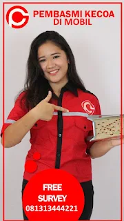 Garda Pest Control Jasa Pembasmi Tawon dan Lebah di Bandung