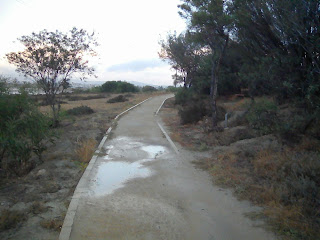 puddles along the salt lake trail