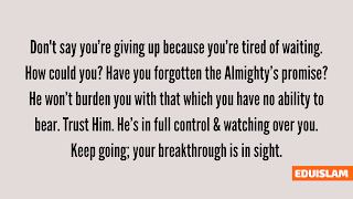 Allah does not burden a soul beyond that it can bear…”Quran (02:286)