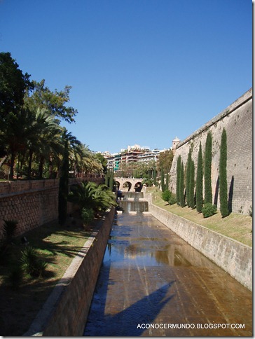 3-Palma de Mallorca. Canal Palma - P4140005