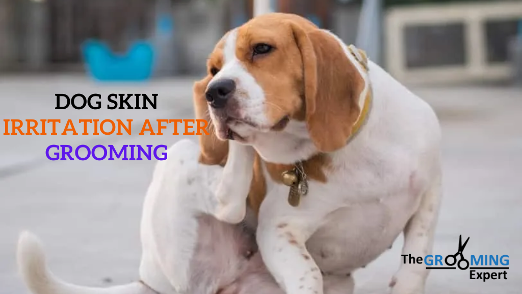 Dog skin irritation after grooming