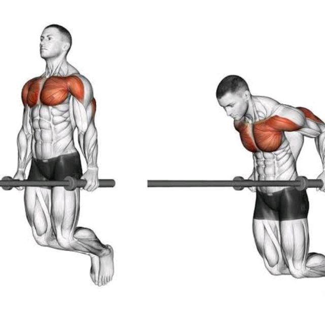 bench presses and dips