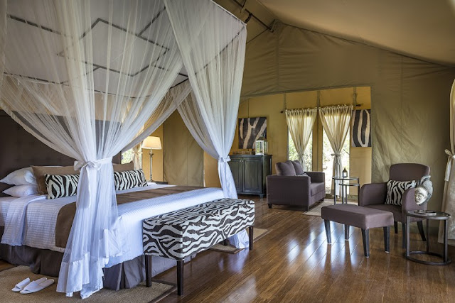 Kenya Luxury Safari