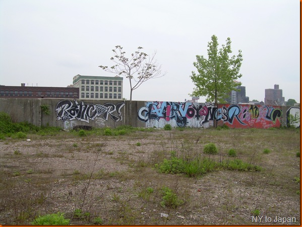DSCN0269