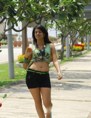 Shraddha Das sexy stills