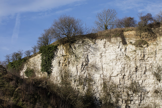 The north end of the face of Riddlesdown quarry, 28 December 2015.