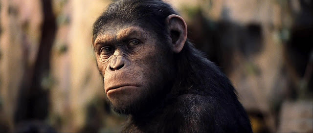 Rise of the Planet of the Apes Wallpaper 6