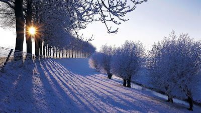 Sunlight in winter 