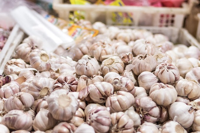 13 amazing benefits of eating garlic 