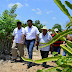 Canalizan recursos para cultivadores de pitahaya y cítricos