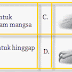 Soal Tujuan Adaptasi Hewan dan Tumbuhan