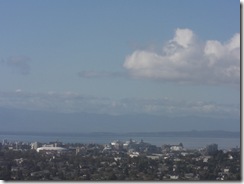 cruise ship harbour from mt tolmie