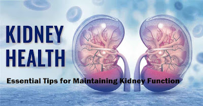 Essential Tips for Maintaining Kidney Function