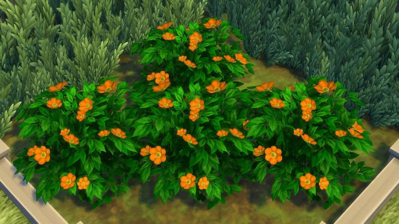 The Sims 4 Outdoor Plants