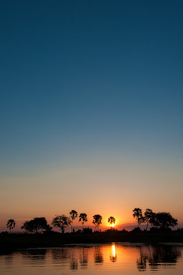 c4 images and safaris, photo workshop, chiefs island, safari, 