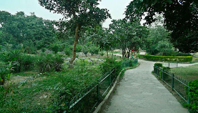 Spurce:https://so.city/delhi/article/heres-all-you-wanted-to-know-about-the-green-lungs-of-our-city-the-delhi-ridge