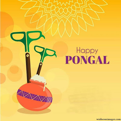 Happy Pongal Hd Pictures