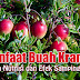 20 Kandungan Nutrisi Dan Manfaat Buah Kranberi