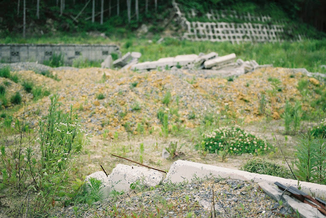 ruins of houses and weeds