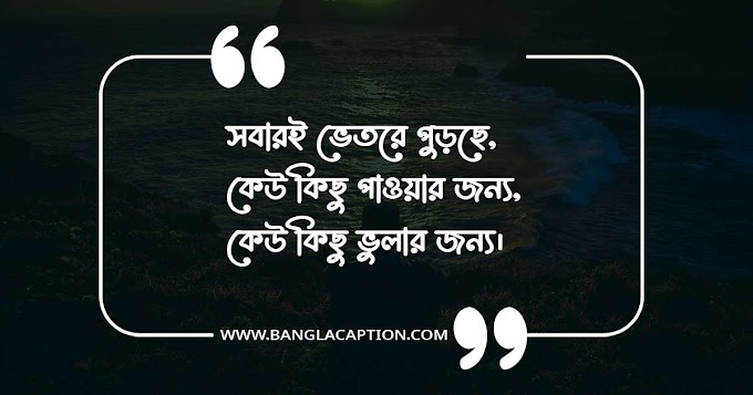 ফেসবুক ক্যাপশন বাংলা/Facebook Caption Bangla