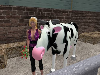 second Life - Reporter giving roses to cow