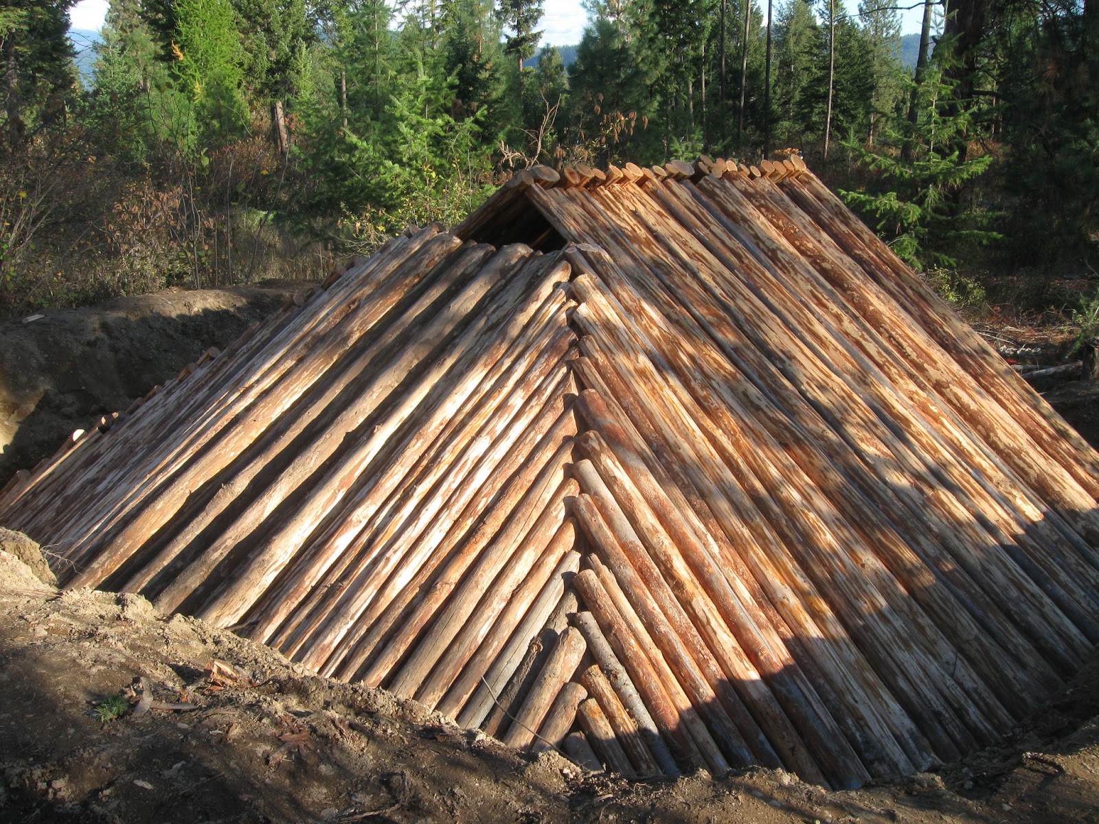 Earth Survival Shelters