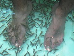 Fish spa on Khaosan Road