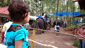Things To Do In Kerala, My Travel Diary