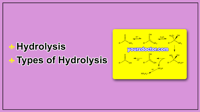 Hydrolysis and Types of Hydrolysis