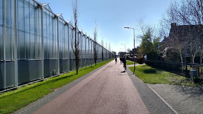 A red road with a huge greenhouse to the left and houses to the left. People are cycling in the distance.