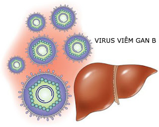 Dùng thuốc nam chữa bệnh viêm gan B hiệu quả