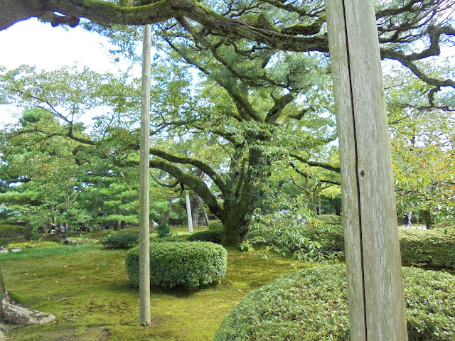 金沢兼六園