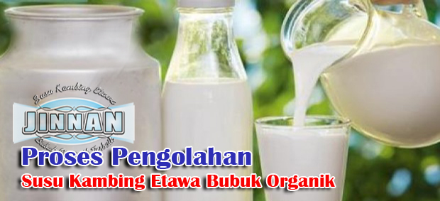 pengolahan susu kambing