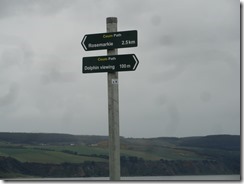 Road to the Dolphin Viewing area