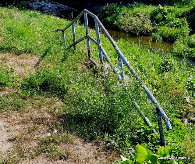 Warszawa Warsaw Mokotów park parki teren zielony Dolinka Służewiecka drzewa