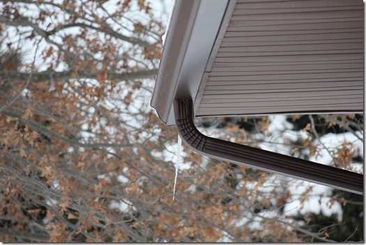 Winter 084