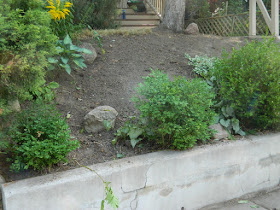 Toronto Summer Garden Cleanup in Koreatown After by Paul Jung Gardening Services--a Toronto Organic Gardener