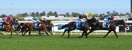 race 4_straight 1