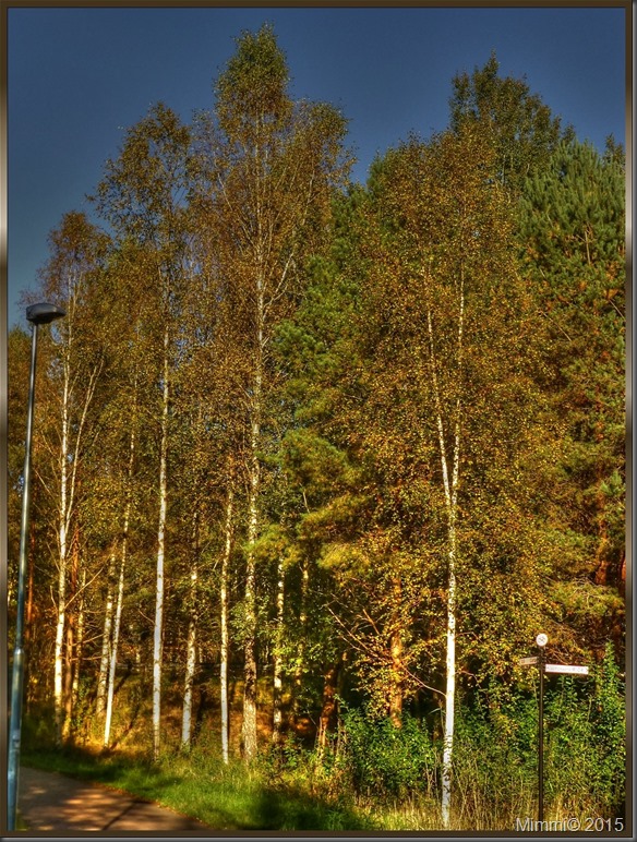 höst