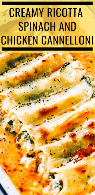 Creamy Ricotta Spinach And Chicken Cannelloni Pasta Recipe