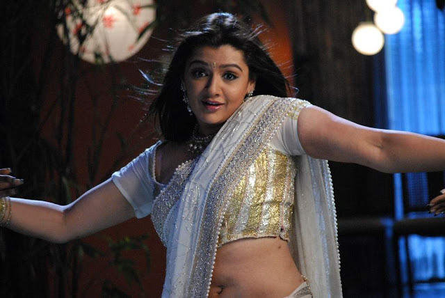 Actress Aarthi Agarwal Saree Below Navel Show Photos